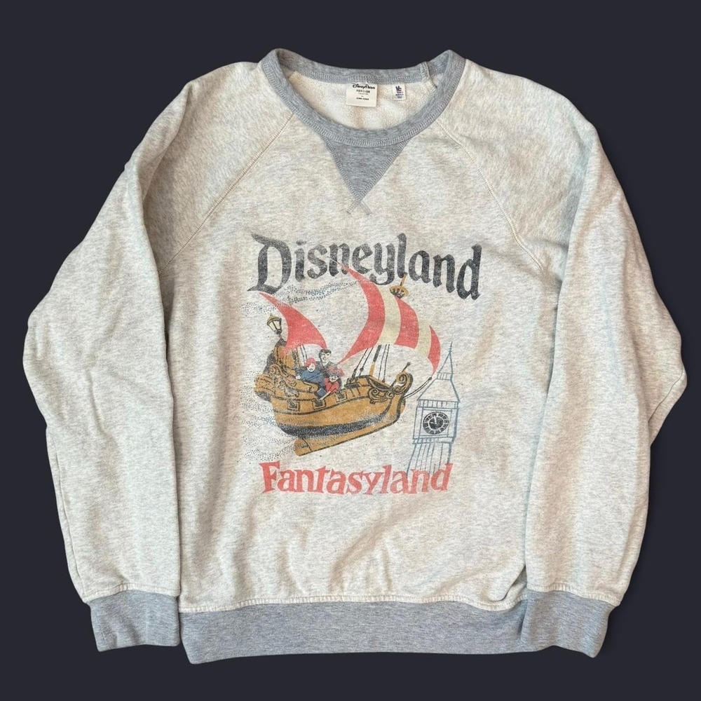 Junk Food Disney Parks Forever Grey Raglan Crewneck Sweatshirt Womens Size Small